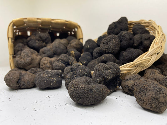 Frische schwarze Herbst-/Wintertrüffel ab 50g