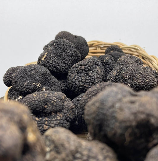 Frische schwarze Herbst-/Wintertrüffel ab 50g