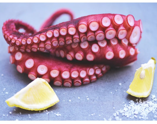 Spanische Oktopusbeine 1kg vorgekocht / küchenfertig (100gr/Bein)