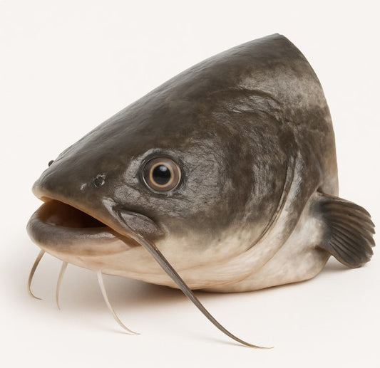 Hundesnack frischer Welskopf 2 Stück ca. 600–800 g TK Ware