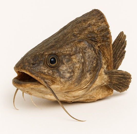 Hundesnack getrockneter Welskopf 2 Stück ca. 500–700 g TK Ware