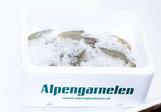 ALPENGARNELEN 500g FANGFRISCH (20-25 Stk.) 2-3 Portionen