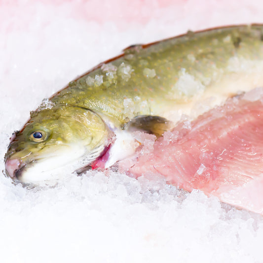 Tiroler SAIBLING ganz 310 - 330g