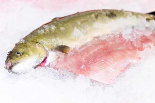 Tiroler SAIBLINGSFILET 2 Stk. 270 - 290gr