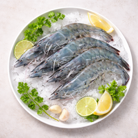 ALPENGARNELEN 1 kg SCHOCKGEFROSTET (35-50 Stk.) 4-5 Portionen