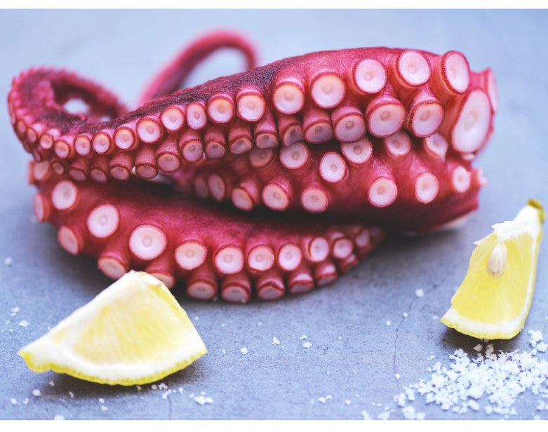 Spanische Oktopusbeine 1kg vorgekocht / küchenfertig (100gr/Bein)