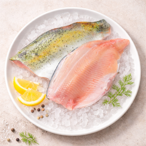 Tiroler FORELLENFILET 2 Stk. 270 - 290g