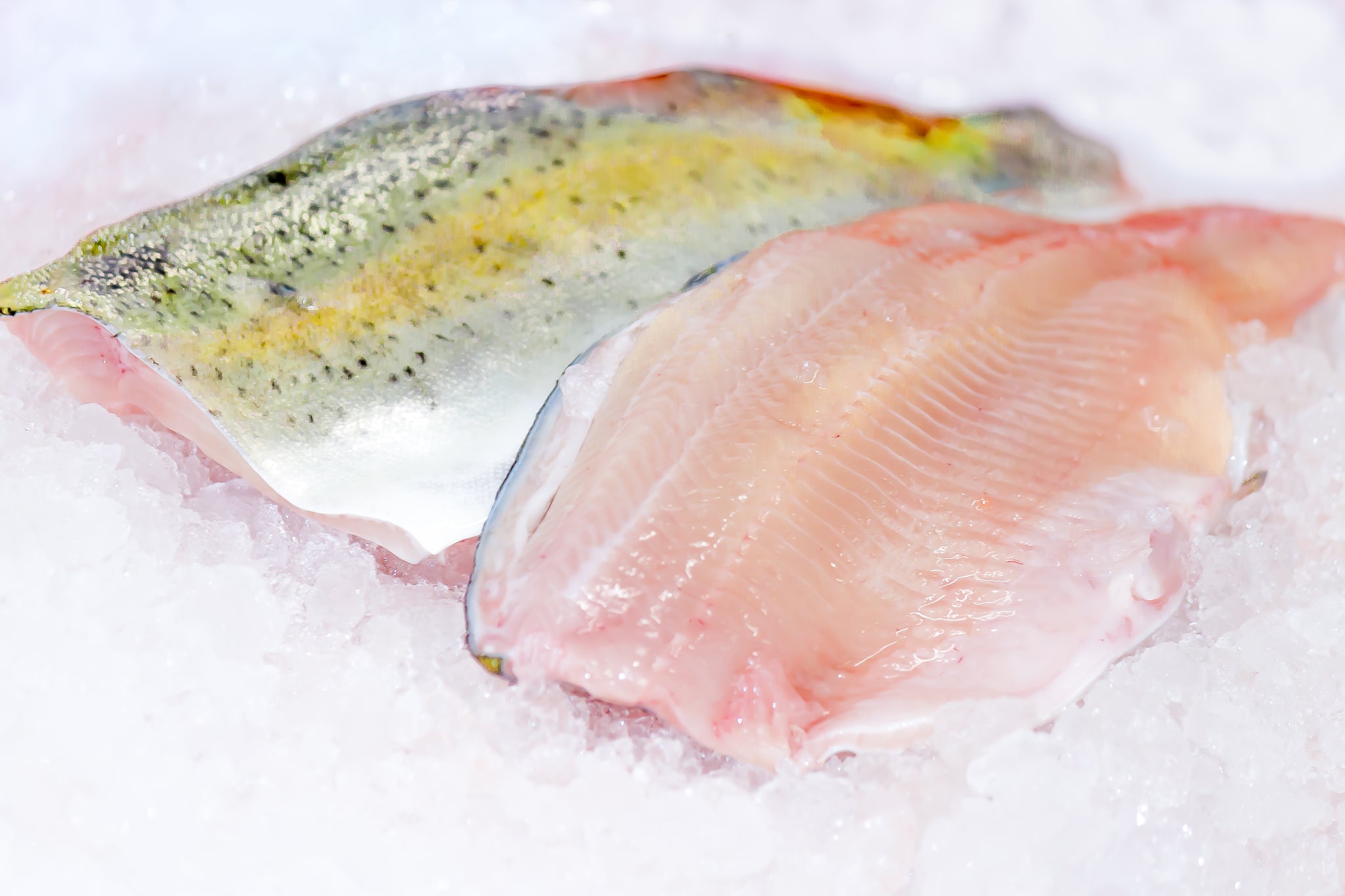 Tiroler FORELLENFILET 2 Stk. 270 290g Alpengarnelen