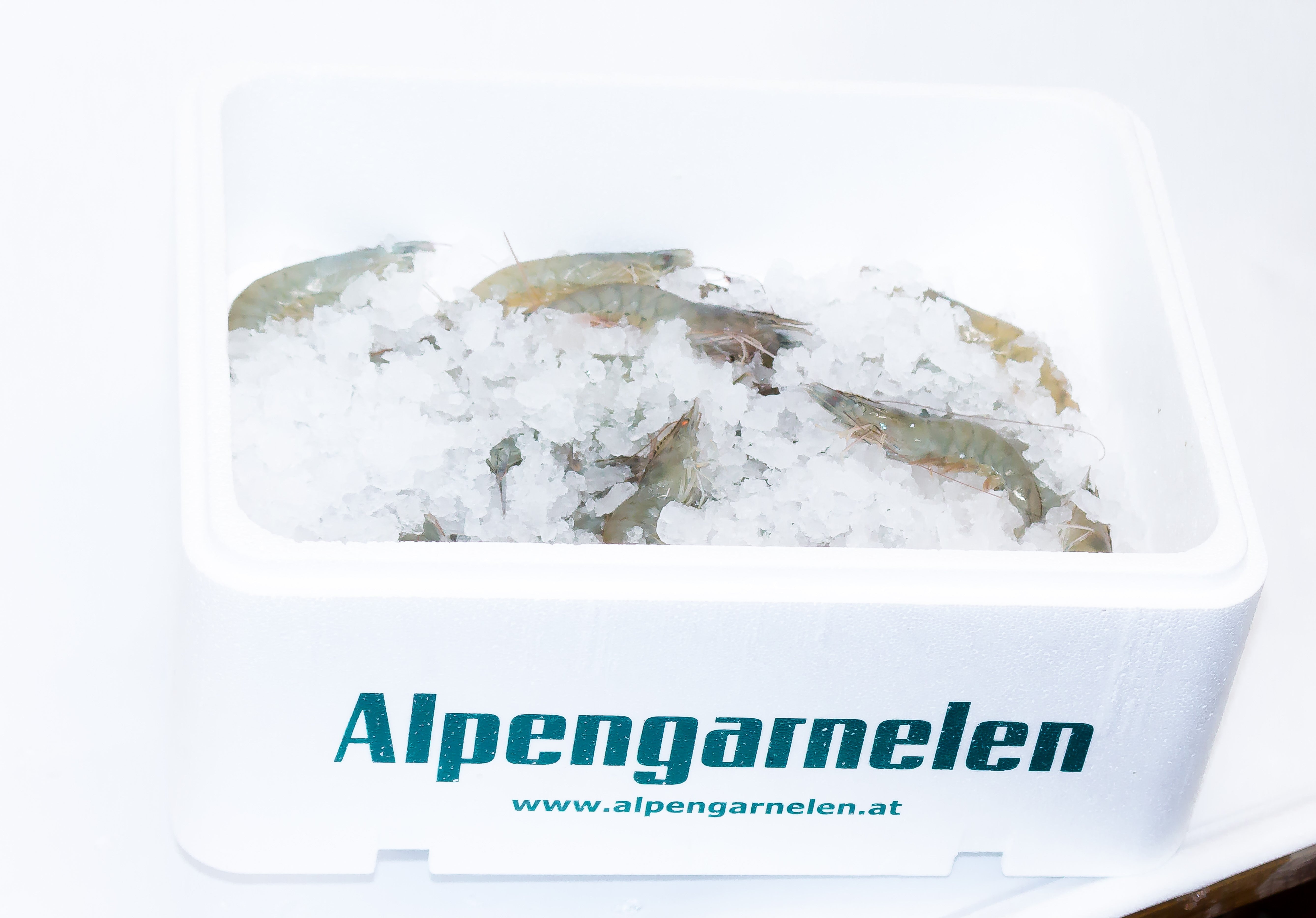 ALPENGARNELEN 500g FANGFRISCH (15-22 Stk.) 2-3 Portionen