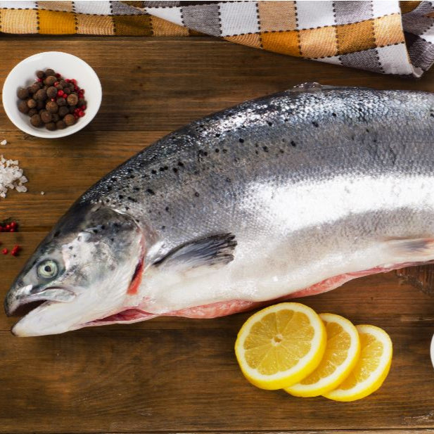 ECOLACHS ganz - der wohl nachhaltigste Lachs " Sushiqualität" 3 - 3,5 kg/Fisch